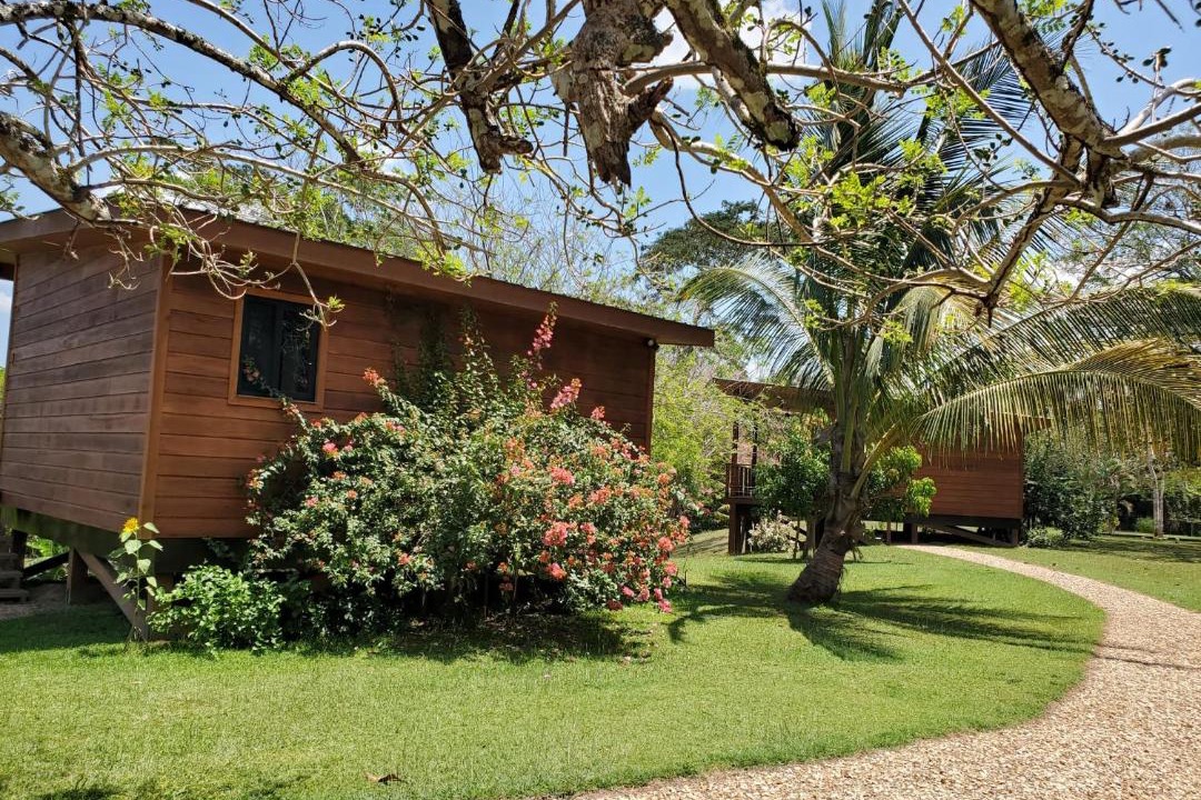 Photo of Others in San Ignacio