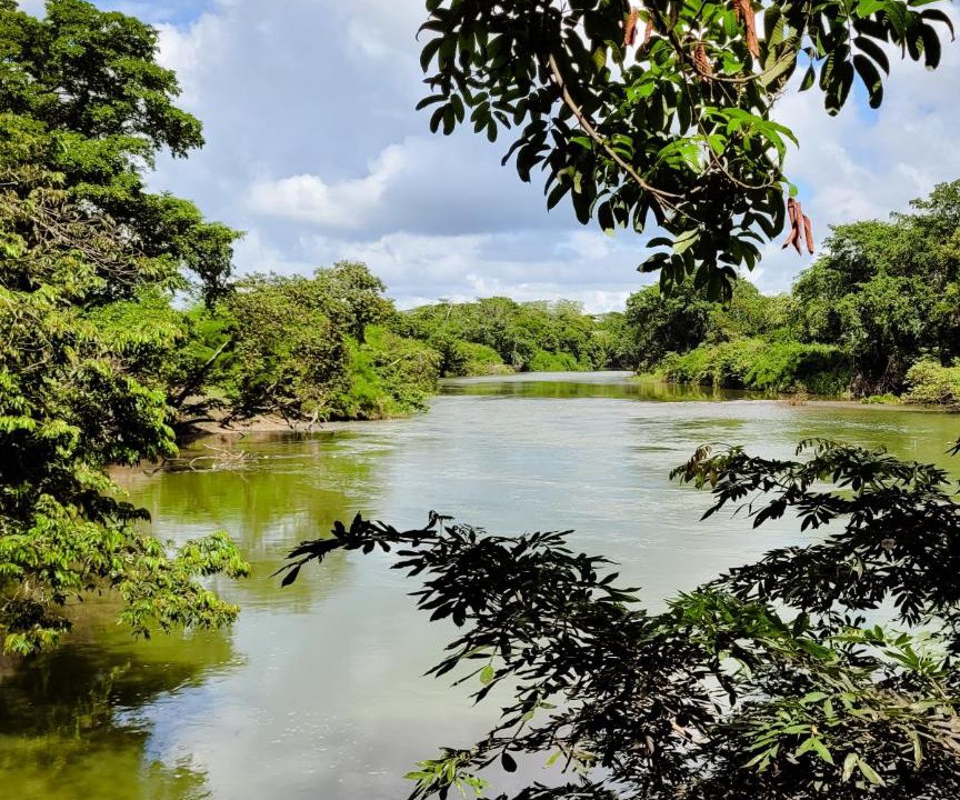 Photo of Others in San Ignacio