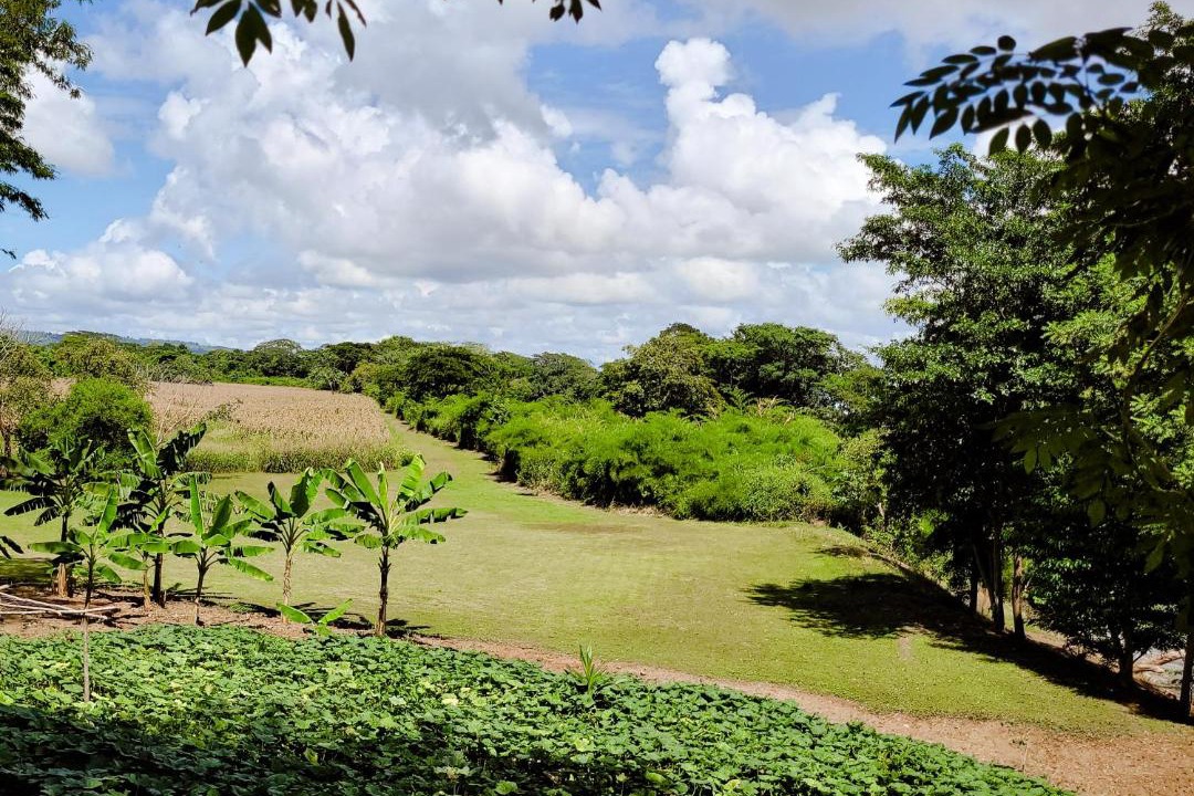 Photo of Others in San Ignacio