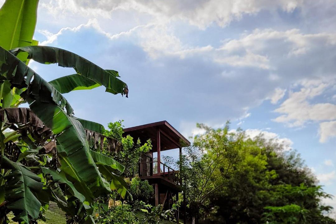 Photo of Others in San Ignacio