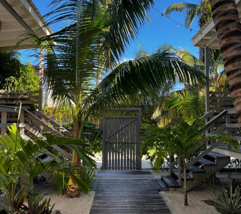 Photo of Others in Caye Caulker