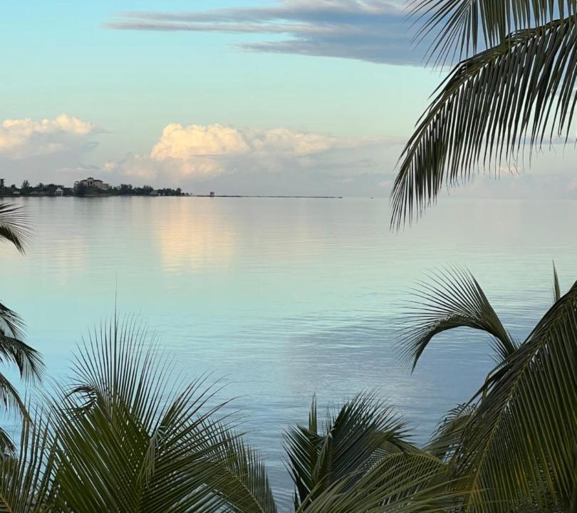 Photo of Others in Placencia