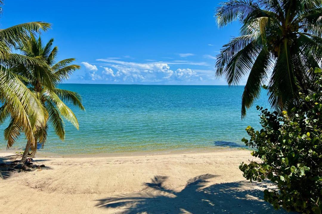 Photo of Others in Placencia