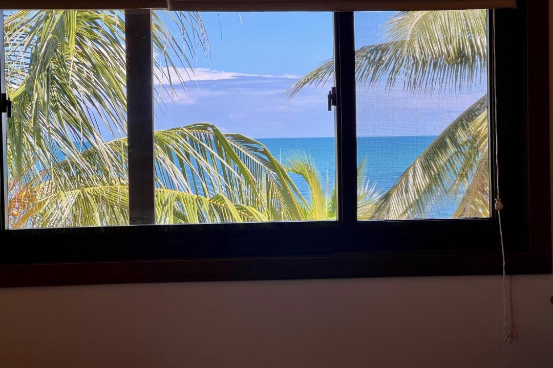 Photo of Others in Placencia