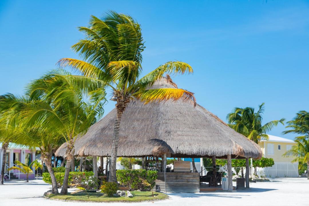 Photo of Others in Little Frenchman Caye