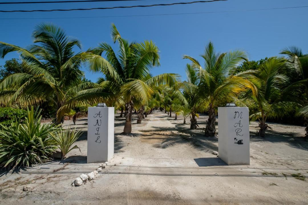 Photo of Others in San Pedro