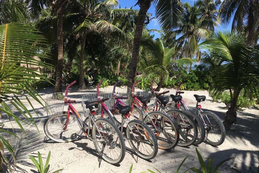 Photo of Others in San Pedro