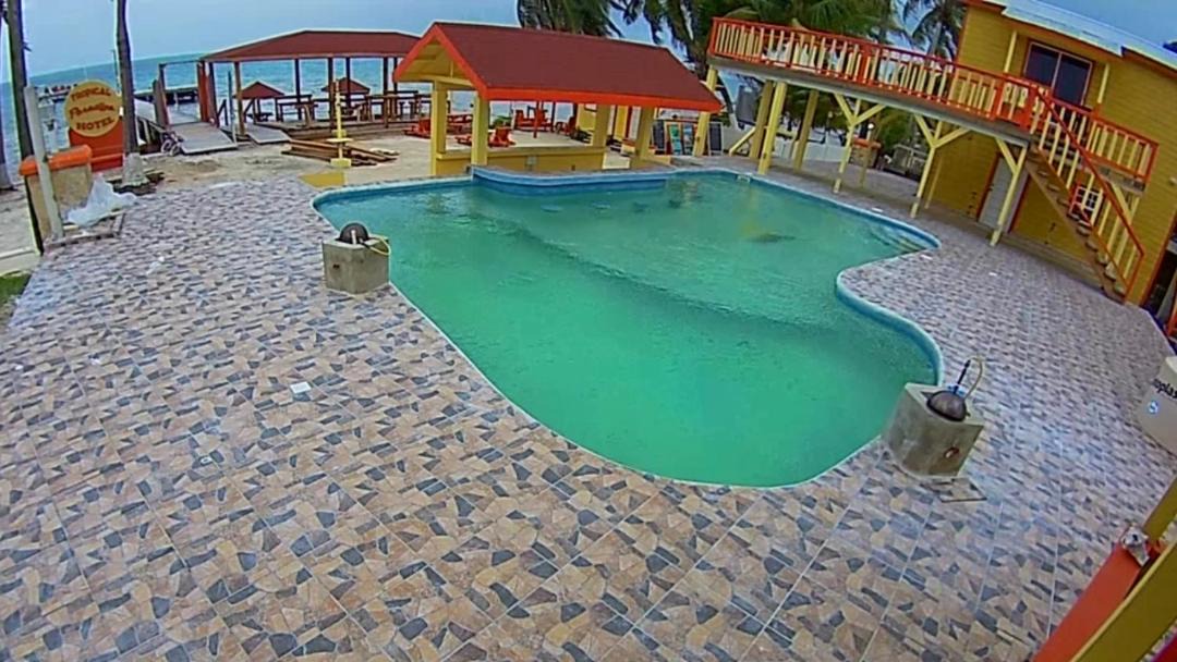 Photo of Others in Caye Caulker