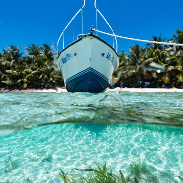 Photo of Others in Placencia