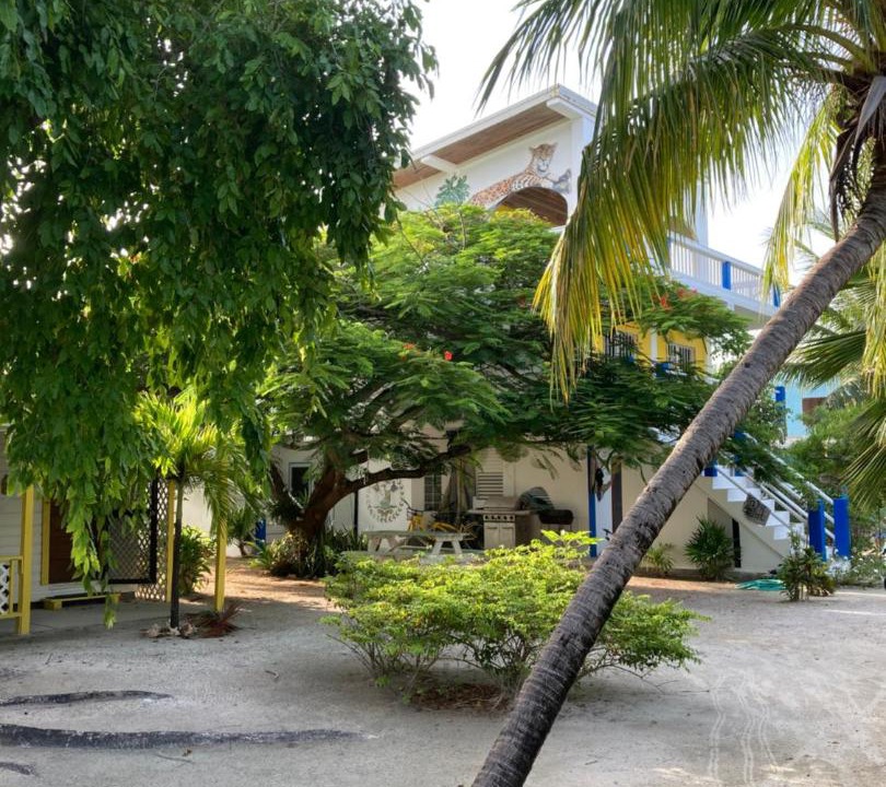 Photo of Others in Caye Caulker