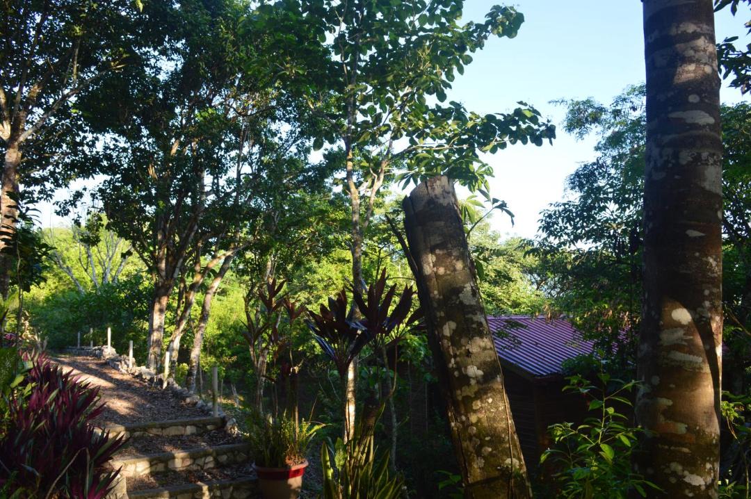 Photo of Others in Santa Elena