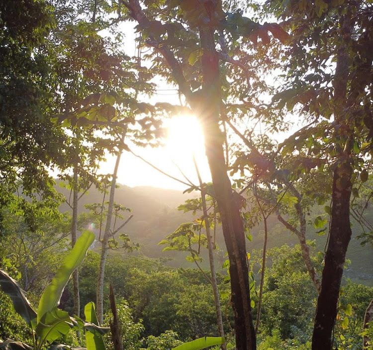 Photo of Others in San Ignacio