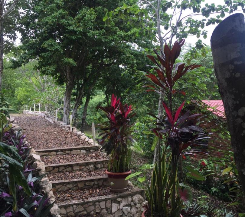 Photo of Others in Santa Elena
