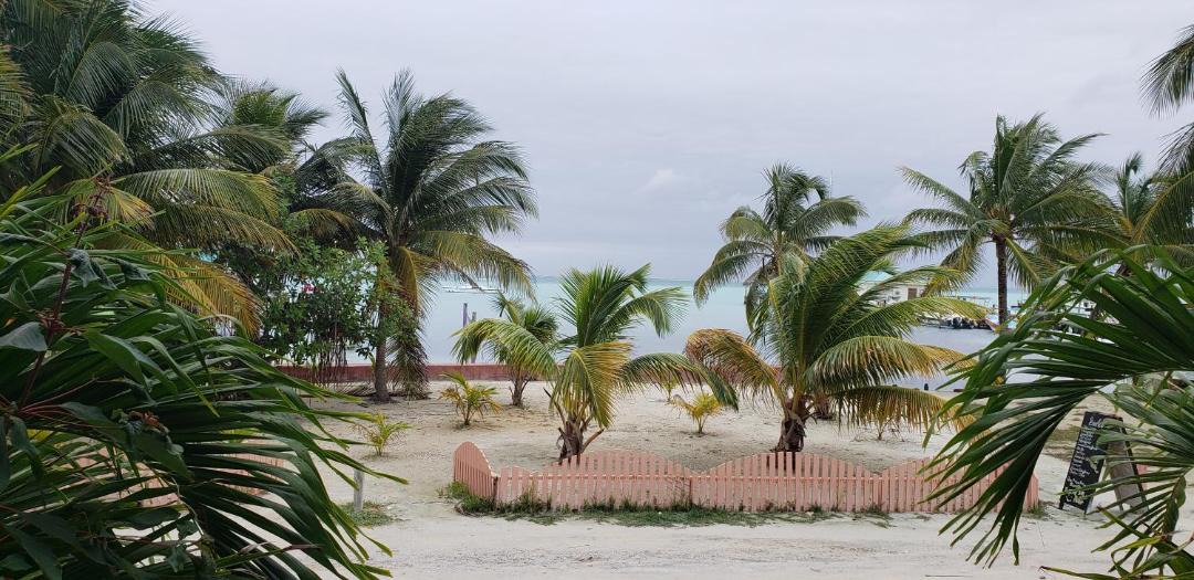 Photo of Others in Caye Caulker