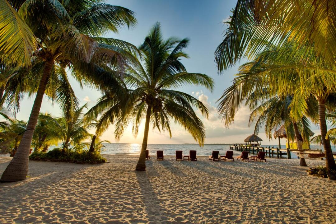 Photo of Others in Placencia