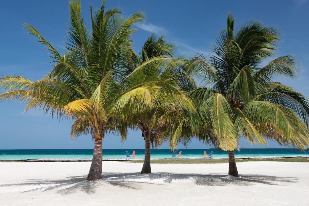 Photo of Others in Royal Belize Island