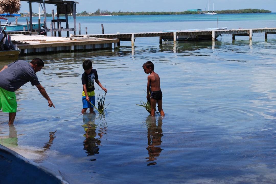 Photo of Others in Caye Caulker