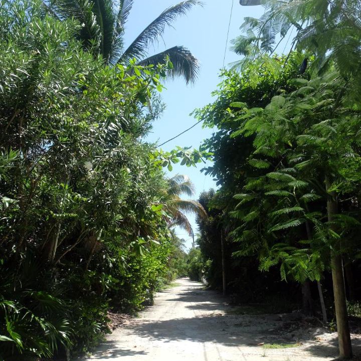 Photo of Others in Caye Caulker