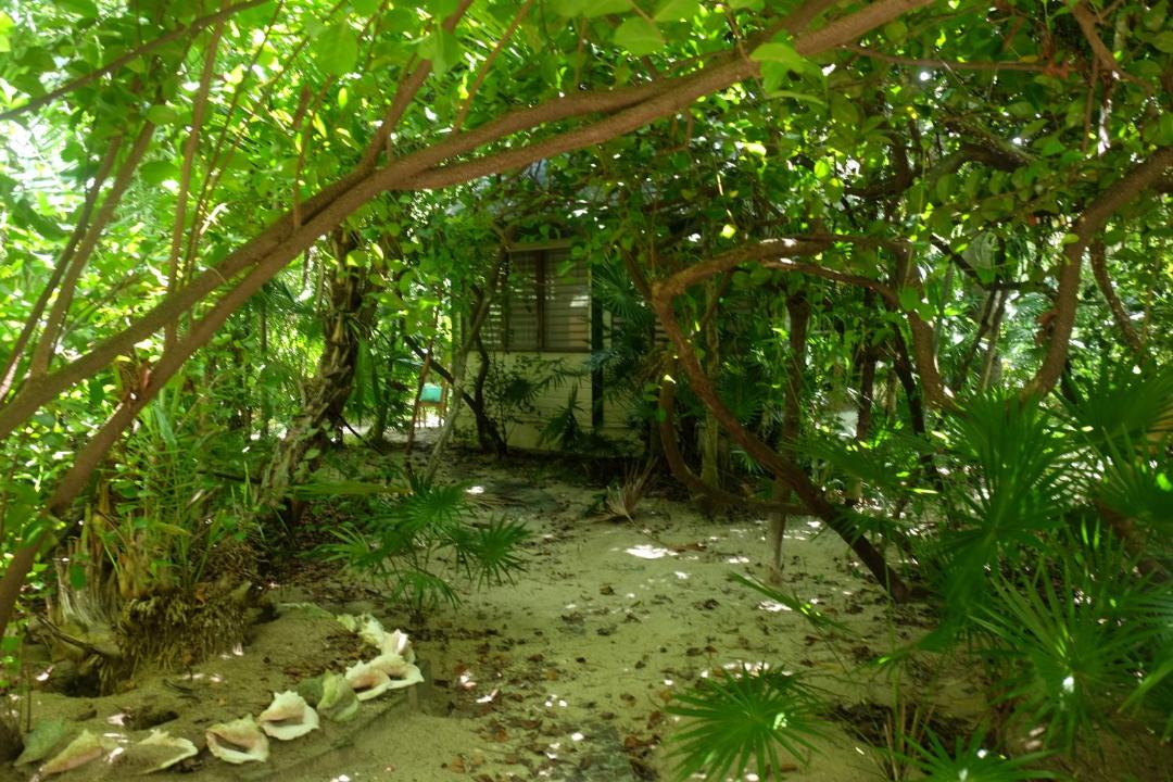Photo of Others in Caye Caulker