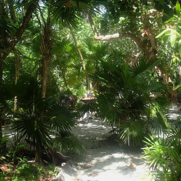 Photo of Others in Caye Caulker
