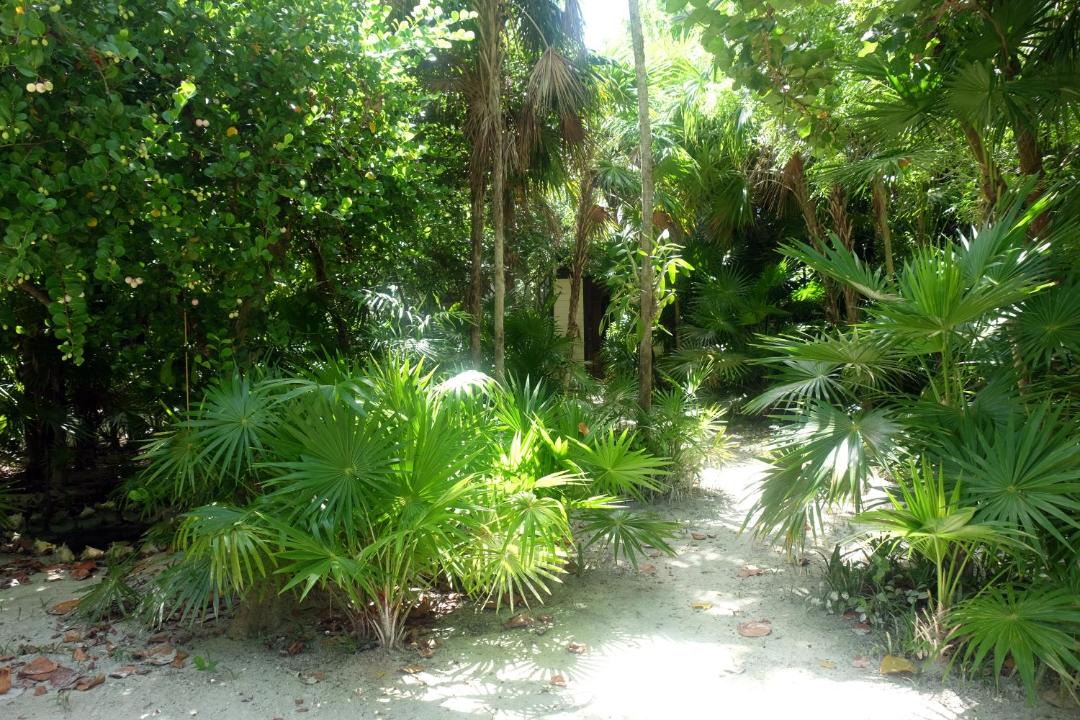Photo of Others in Caye Caulker