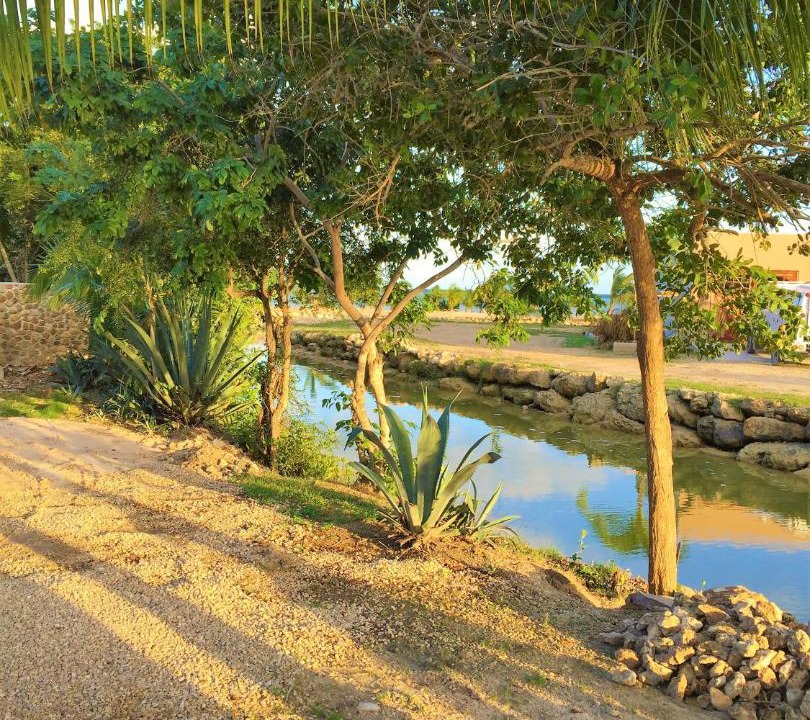 Photo of Others in Corozal