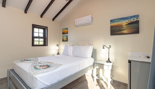 Room, 1 King Bed