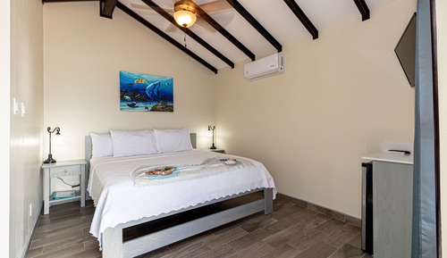 Room, 1 King Bed