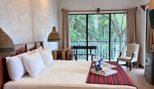 Tree Top Room