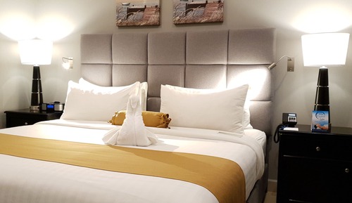 Premium Room, 1 King Bed, Non Smoking, Refrigerator & Microwave