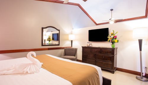 Junior Suite, 1 King Bed, Non Smoking, Refrigerator & Microwave (Living Room)