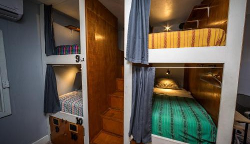 Bed in 6-Bed Mixed Dormitory Room
