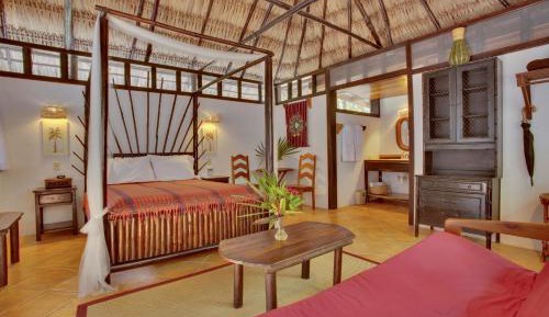 Comfort Room with Jungle View
