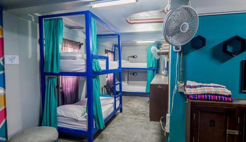 Bed in 6-Bed Dormitory Room