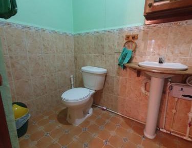 Basic Double Room