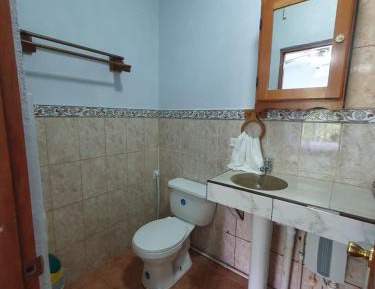 Basic Triple Room