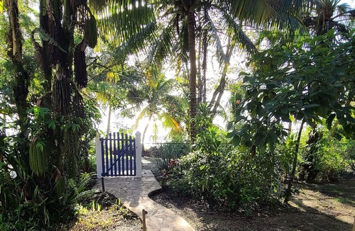 Forest Home Apartment | Our Sea of Blue Suite faces the Caribbean and awaits you