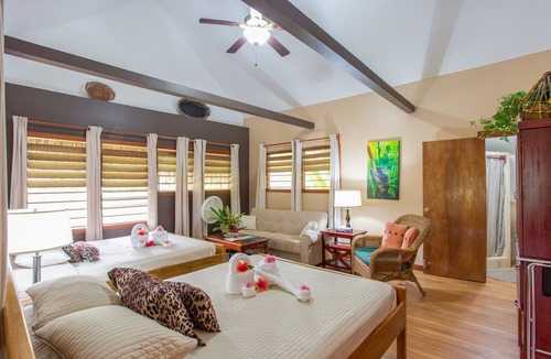 Hopkins Hotel | Bocawina Rainforest Resort & Adventures