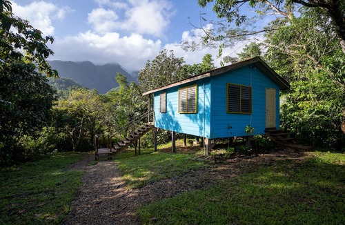 Belmopan Cabin | T.R.E.E.S Research Center and Eco Lodge