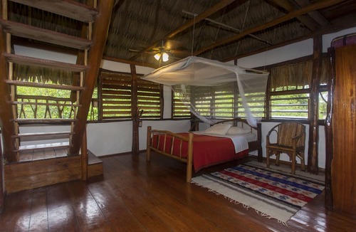 Punta Gorda Cabin | Cotton Tree Lodge