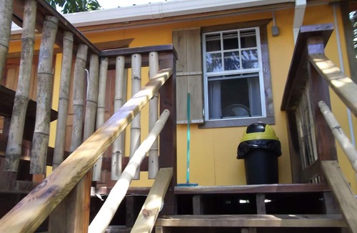 Hopkins Hostel | The Funky Dodo Backpackers