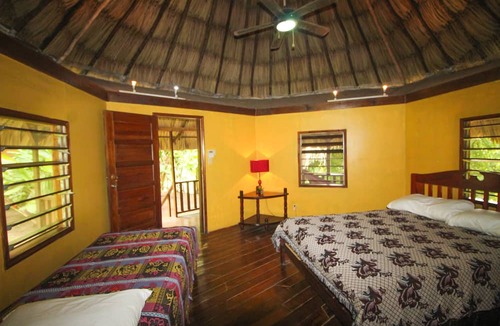 Bullet Tree Falls Hotel | Cohune Palms River Cabanas