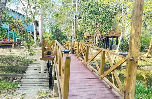 Burrell Boom Hotel | Howler Jungle House