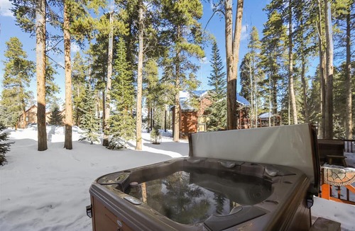 Park Forest Estates House | Park Forest Chalet-Dog Friendly Peak 8 Chalet, Private Hot Tub, Near Shuttle.