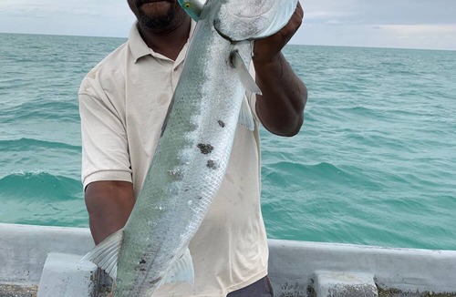 Glovers Reef Atoll Apartment | Spend time on a Private Island in Belize, Fish & Snorkel - King Size Beds