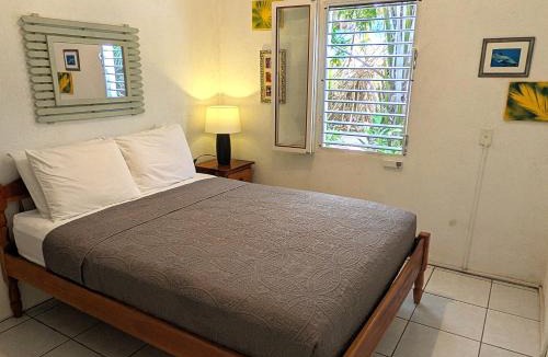 Placencia Apartment | Simberts Apartments