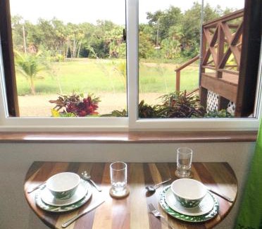 Placencia Apartment | Tropical 1BR Suite with Pool Access - Flying Pig