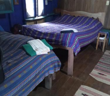Hopkins Hostel | Dorm