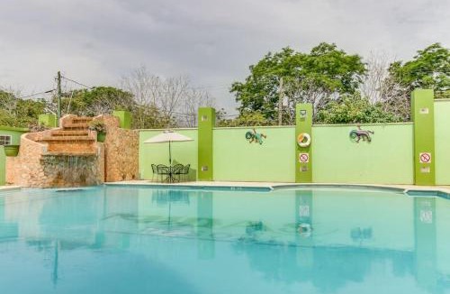 San Ignacio Apartment | Suite Junior at Midas Belize