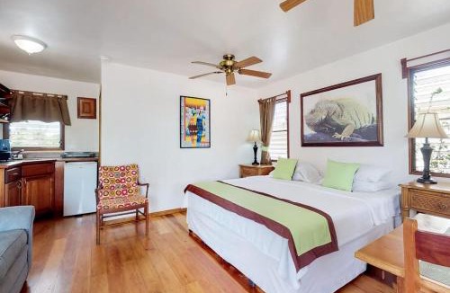 Hopkins Apartment | Green Iguana at Latitude Adjustment -Gold Standard Certified